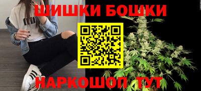 хмурый Сланцы