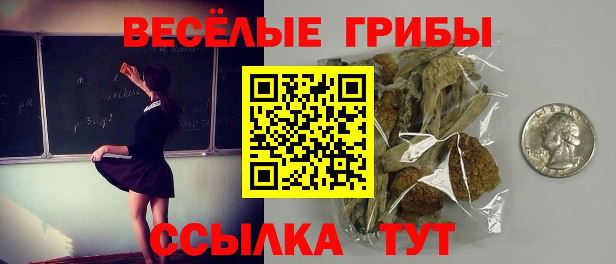 закладки  Галлюциногенные грибы прущие грибы  Вход с VPN  Новозыбков 