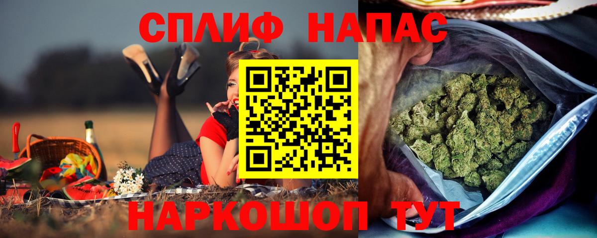 МАРИХУАНА гибрид  Вход с VPN  Новозыбков  МАРИХУАНА White Widow 